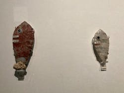 特別展「古代メキシコ ーマヤ、アステカ、テオティワカン」に投稿された画像（2024/5/11）
