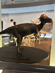 福井県立恐竜博物館に投稿された画像（2024/5/12）