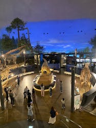 福井県立恐竜博物館に投稿された画像（2024/5/13）