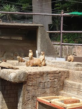 伊豆シャボテン動物公園に投稿された画像（2024/5/13）
