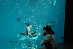 上越市立水族博物館 うみがたりに投稿された画像（2024/5/15）