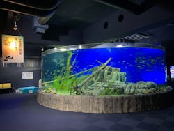 サケのふるさと 千歳水族館に投稿された画像（2024/5/17）