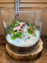 Terrariums 渋谷ヒカリエ店に投稿された画像(2024/5/17)