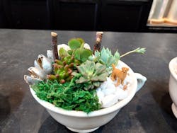 hanasenka山形店に投稿された画像(2024/5/19)