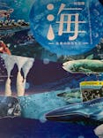 特別展「海　―生命のみなもと―」名古屋市科学館に投稿された画像（2024/5/21）