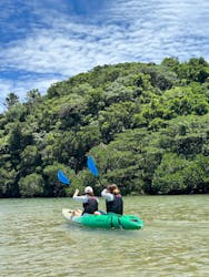 カヤックサービスfree suits(フリースーツ)石垣に投稿された画像(2024/5/30)