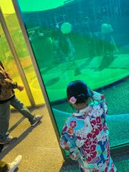 着物レンタルVASARA 金沢兼六園店に投稿された画像(2024/6/2)