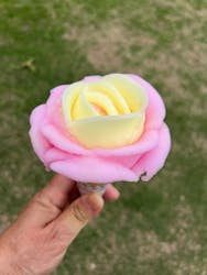 浜名湖花博2024に投稿された画像(2024/6/15)