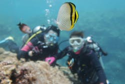 Pro Scuba Team SEALs(シールズ)に投稿された画像(2024/6/20)