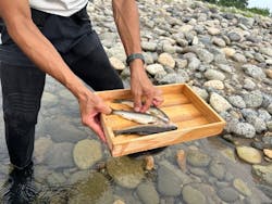 ゆいのふね 〜長良川〜に投稿された画像(2024/7/6)