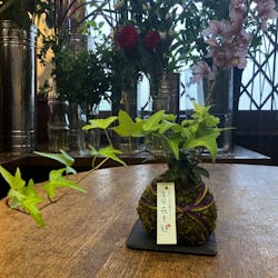 株式会社花工房に投稿された画像(2024/7/8)