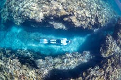 ソルトウォーターソーシャルクラブに投稿された画像(2024/7/8)