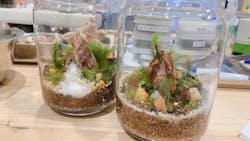 Terrariums 渋谷ヒカリエ店に投稿された画像(2024/7/12)