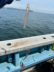 船釣り船上バーベキュー崎っぽ料理松新に投稿された画像(2024/7/27)