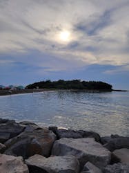 たてやま・海辺の鑑定団に投稿された画像(2024/7/29)