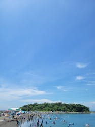 たてやま・海辺の鑑定団に投稿された画像(2024/7/29)