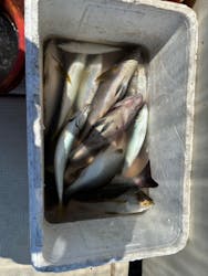 まつうら党交流公社に投稿された画像(2024/8/1)