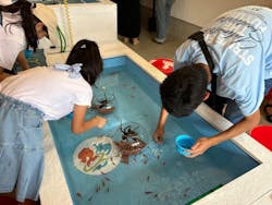 江ノ島金魚に投稿された画像(2024/8/11)