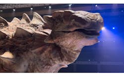 DINO-A-LIVE ダイナソーサマーキャンプに投稿された画像(2024/8/12)