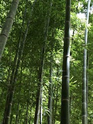 若竹の杜 若山農場に投稿された画像(2024/8/12)