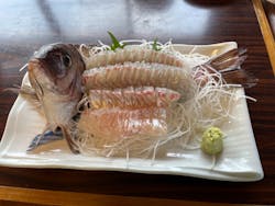 海上釣り 堀太公望に投稿された画像(2024/8/13)