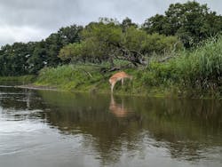 East powerに投稿された画像(2024/8/14)