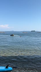 AQUARIZ(アクアライズ)に投稿された画像(2024/8/16)