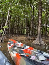 石垣島カヌーツアー池間に投稿された画像(2024/8/16)