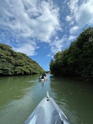 石垣島カヌーツアー池間に投稿された画像(2024/8/16)