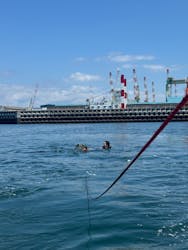 マリンアクティビティ香川に投稿された画像(2024/8/16)