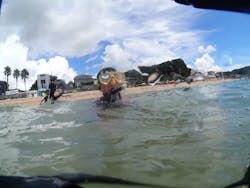 Diving ショップKiaoraに投稿された画像(2024/8/16)