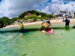 Diving ショップKiaoraに投稿された画像(2024/8/16)