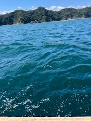 鯛の浦遊覧船に投稿された画像(2024/8/24)