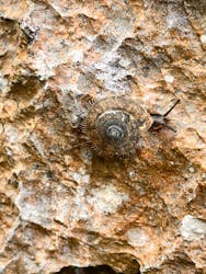 アスムイハイクスに投稿された画像(2024/8/25)