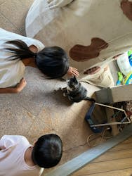 深谷峡温泉 清流の郷に投稿された画像(2024/8/30)