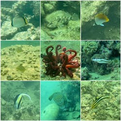 アリストダイバーズ賢島本店に投稿された画像(2024/9/3)