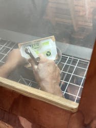 atelier SARAに投稿された画像(2024/9/4)