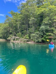 白馬ライオンアドベンチャーに投稿された画像(2024/9/14)