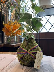 株式会社花工房に投稿された画像(2024/9/17)