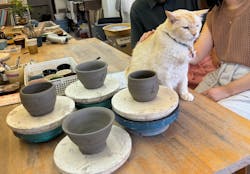 土楽猫工房に投稿された画像(2024/9/17)