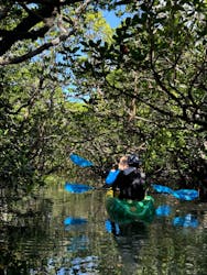 カヤックサービスfree suits(フリースーツ)石垣に投稿された画像(2024/9/20)