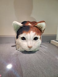 特別展「ネコ」 ~にゃんと!クールなハンターたち~に投稿された画像(2024/9/23)
