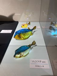 ギョギョッとサカナ★スター展 ~お魚たちが教えてくれる海のこと~に投稿された画像(2024/9/24)