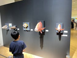 ギョギョッとサカナ★スター展 ~お魚たちが教えてくれる海のこと~に投稿された画像(2024/9/24)