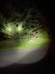 ピッキオ知床に投稿された画像(2024/9/24)