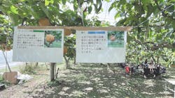 びわこもりやまフルーツランドに投稿された画像(2024/9/24)