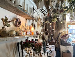 ドライフラワーと暮らしのお店 その灯ぐらし 猫洞店に投稿された画像(2024/9/27)