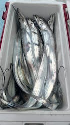 船釣り船上バーベキュー崎っぽ料理松新に投稿された画像(2024/9/30)