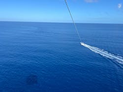 アークダイブに投稿された画像(2024/10/9)