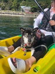 GOODTIMES 白ひげ浜店に投稿された画像(2024/10/12)